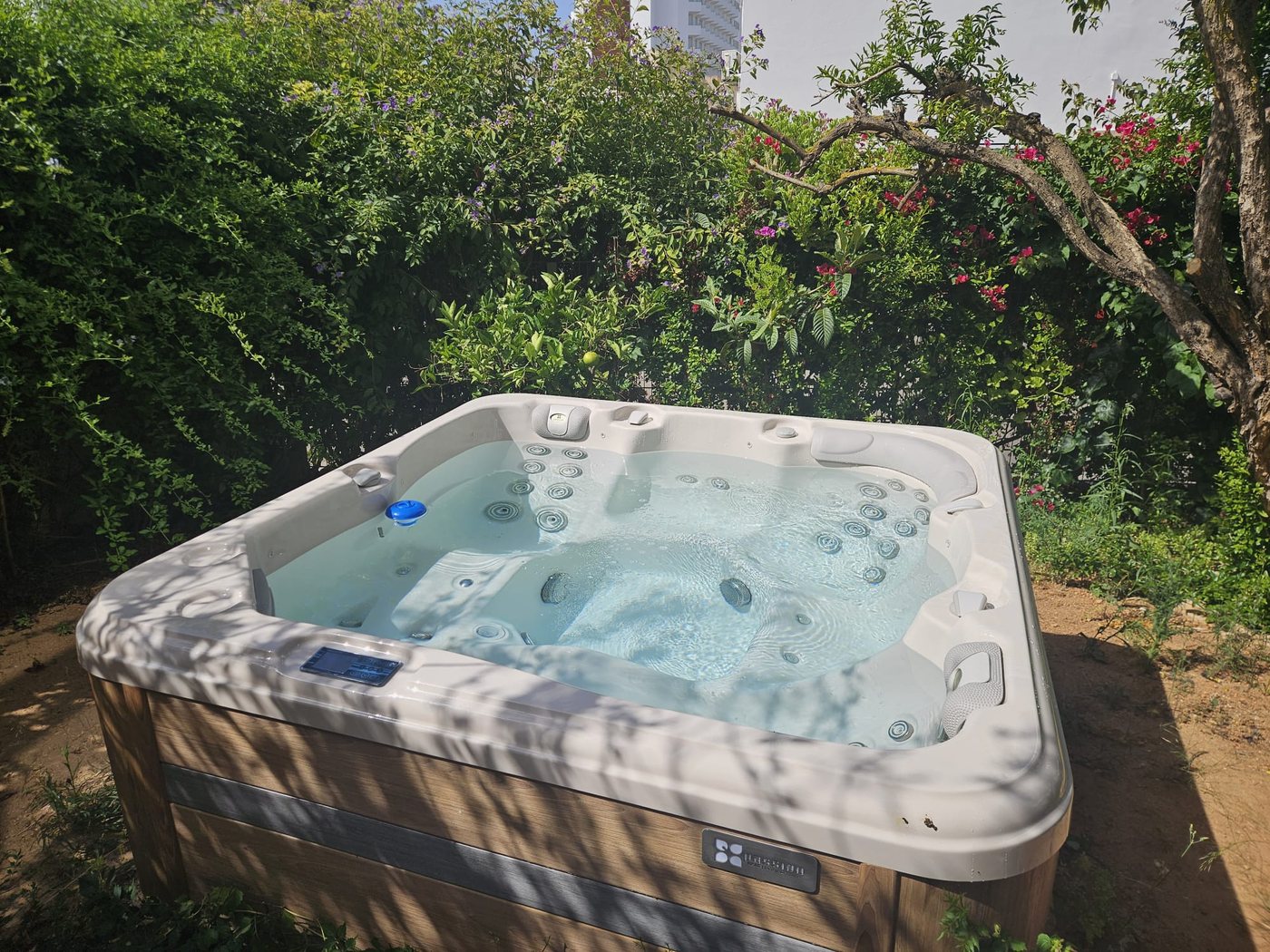El jacuzzi visto a trav&eacute;s de la buganvilla en el jard&iacute;n terminado en Playa de Palma